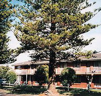 Eastern Beach Holiday Units - Tourism Cairns