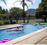 Bounty Motor Inn - Tourism Cairns