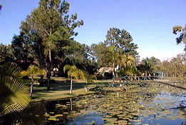  Tourism Cairns