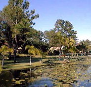 Twin Lakes Hotel - Tourism Cairns
