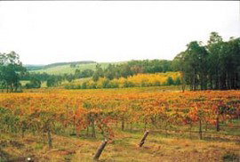 Byramgou Park - Tourism Cairns 0