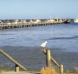 Seaview Motel and Holiday Units - Tourism Cairns