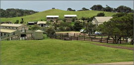 Cape Schanck VIC Tourism Cairns