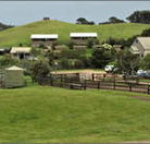 Ace Hi Riding Ranch - Tourism Cairns