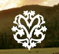  Tourism Cairns
