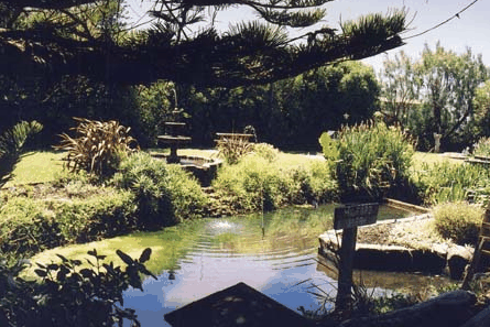 Bayside Gardens - Tourism Cairns