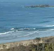 Beach Haven Apartments - Tourism Cairns