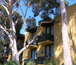 Pathfinder Motel - Tourism Cairns 1