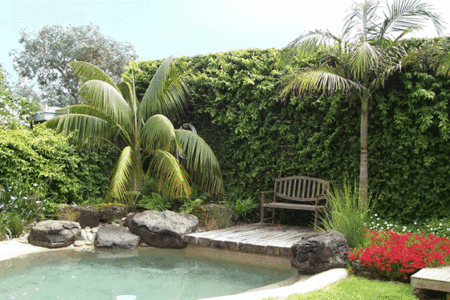 The Tropicana Motor Inn - Tourism Cairns 2