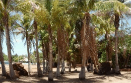 King Sound Resort Hotel - Tourism Cairns