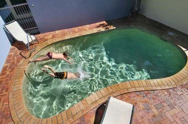 Belvedere Apartments - Tourism Cairns 0