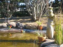 Murray Gardens Motel And Cottages - Tourism Cairns 2