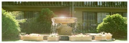 Best Western Tall Trees Motel - Tourism Cairns 2