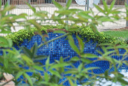 Arcadia Motor Inn - Tourism Cairns 4