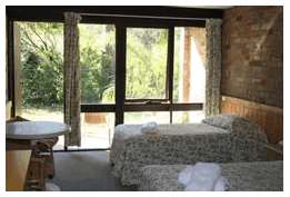 Treetops Resorts - Tourism Cairns 1