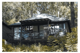 Treetops Resorts - Tourism Cairns 2