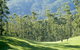 Bonville International Golf Resort - thumb 3