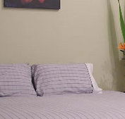 Stingo Hotel - Tourism Cairns