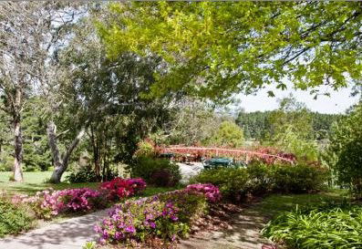 Bilpin Resort - Tourism Cairns 2