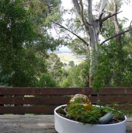 Jindabyne NSW Tourism Cairns