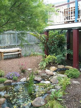 Eskdale Bed And Breakfast - Tourism Cairns 5