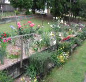 Kintail Homestay - Tourism Cairns