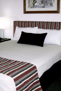 Cattle City Motor Inn - Tourism Cairns 1