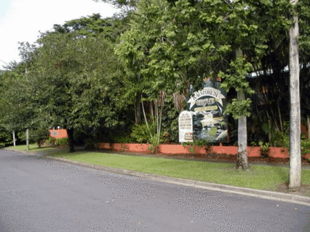 Rainforest Grove Holiday Resort - Tourism Cairns 2