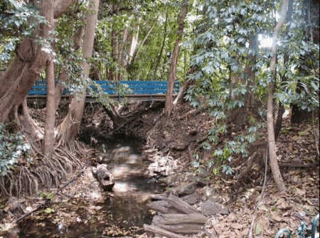 Rainforest Grove Holiday Resort - Tourism Cairns 3