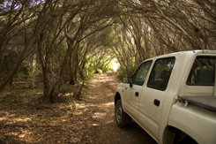 Nampara Cabins - Tourism Cairns 1