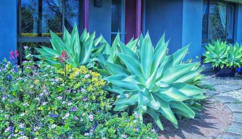 Possum Creek Lodge - Tourism Cairns 2