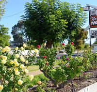 Narrogin Motel - Tourism Cairns