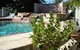 Noosa Valley Manor - Bed And Breakfast - thumb 2