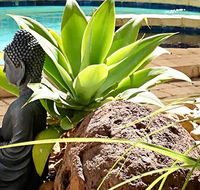 Barham Bridge Motor Inn - Tourism Cairns