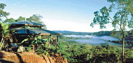 Daintree Cloud 9 - Tourism Cairns 1