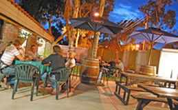 Toddy's Backpackers Resort - Tourism Cairns 4