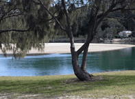 Ocean View Apartments - Tourism Cairns 3