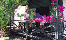 Desert Palms Resort - Tourism Cairns 3