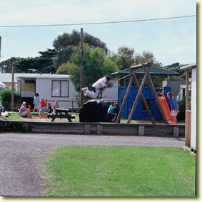 Apslawn TAS Tourism Cairns
