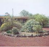 Beaufort Motel - Tourism Cairns