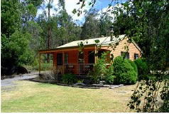 Gellibrand River VIC Tourism Cairns