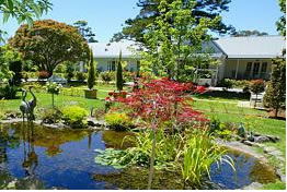  Tourism Cairns
