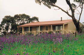 Armagh SA Tourism Cairns