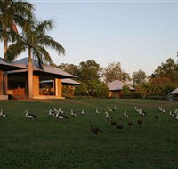 Feathers Sanctuary - Tourism Cairns