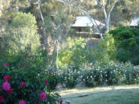 Battunga Bed & Breakfast - Tourism Cairns 0