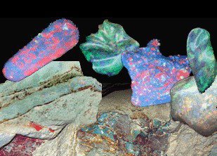 Umoona Opal Mine - Tourism Cairns 1