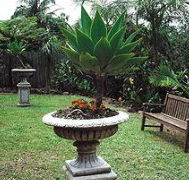 Bangalow Retreat - Tourism Cairns