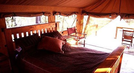 Jabiru Safari Lodge At Mareeba Wetlands - Tourism Cairns 1