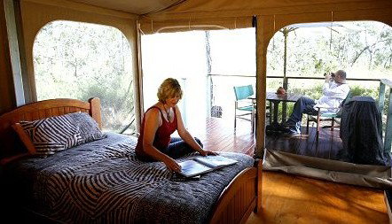 Jabiru Safari Lodge At Mareeba Wetlands - Tourism Cairns 2