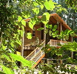 Rivers Edge Rainforest Retreat - Tourism Cairns